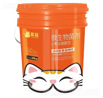 ��-�۹Ȱ�����΢�������-��؈