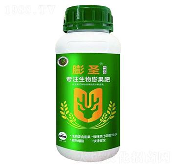 ��ʥ�~����-��ɽ����