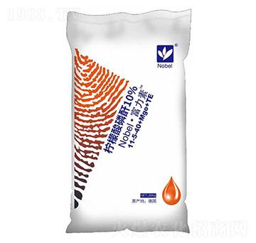 ������11-5-40+Mgo+TE-�Zؐ��