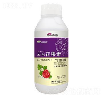 ���_������-���_��