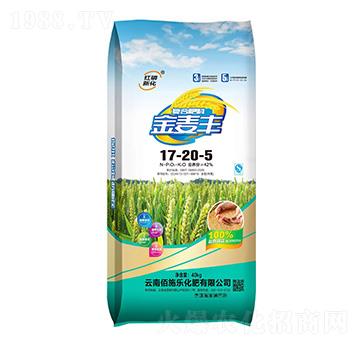 �ͺϷ���17-20-5-�����S-��ʩ������