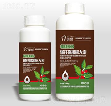 �������������-嫰�����