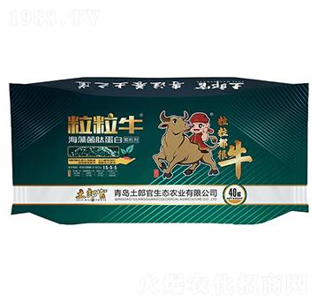 ��������������ĵ���-���ɹ�