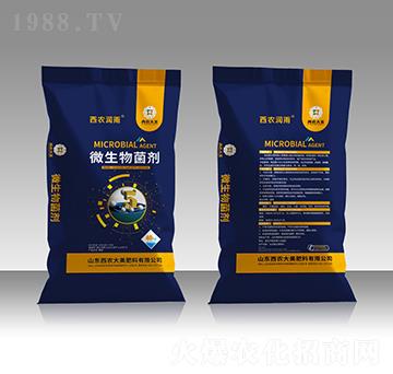 5�|΢�������-���r(n��ng)����-���r(n��ng)����