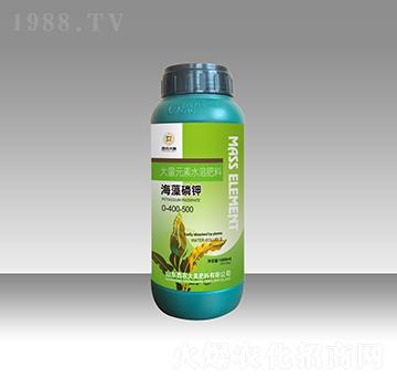 �������-���r����