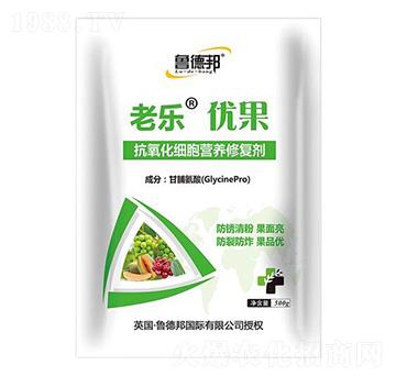 500g�����������I�B(y��ng)�ޏ̈́�-�Ϙ���(y��u)��-��?sh��)°? />
                                </div>
                            </div>
                            
                            <style type=