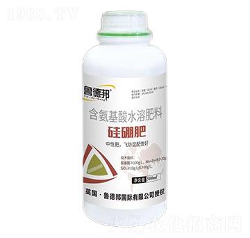 ��������ˮ�ܷ���-�����-��?sh��)°? />
                                </div>
                            </div>
                            
                            <style type=