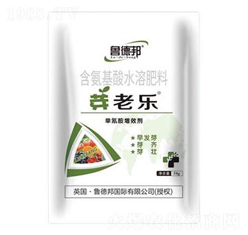 含氨基酸水溶肥料-芽老樂-魯?shù)掳? />
</div>
</div>
<style type=