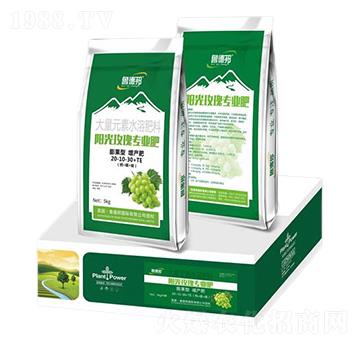 陽光玫瑰專用膨果型大量元素水溶肥料20-10-30+TE-魯?shù)掳? />
</div>
</div>
<style type=