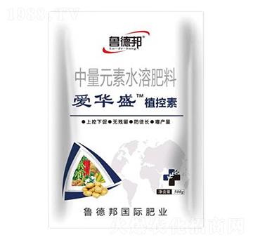 中量元素水溶肥料-愛華盛·植控素-魯?shù)掳? />
</div>
</div>
<style type=