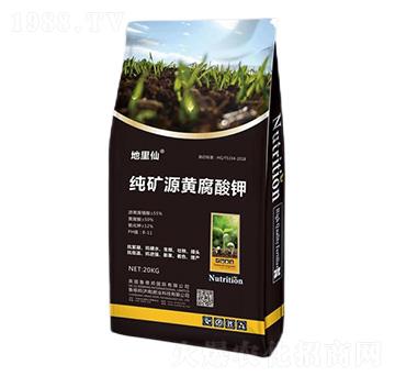 ���VԴ�S�����-������-��?sh��)°? />
                                </div>
                            </div>
                            
                            <style type=