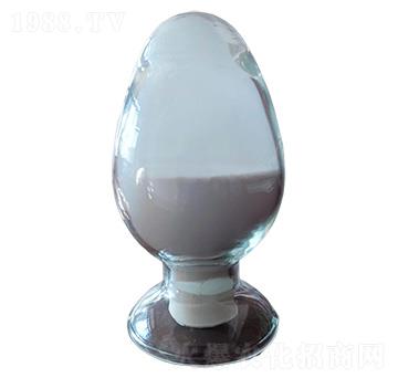 ���I(y��)��������-�ɝ�����