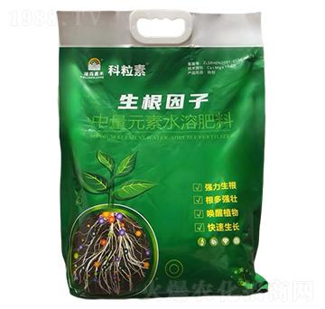 ����Ԫ��ˮ�ܷ���-��������-��ɭ�κ�