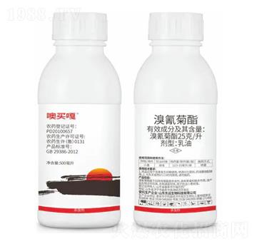 25��ÿ�������������-���I��-�|�h����