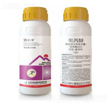 10%�����ёҸ���-�\С��-�|�h����