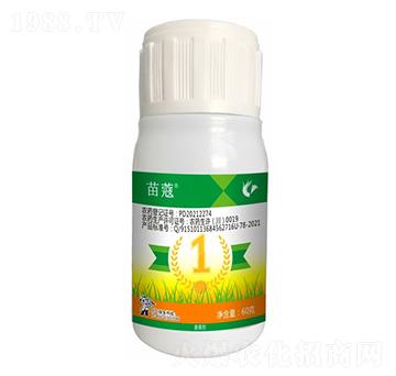 20%�f�����ݰ�-��ޢ-����¡����