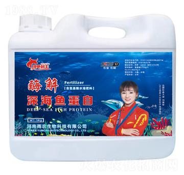 ø����~����-�ĵ����S-���r����