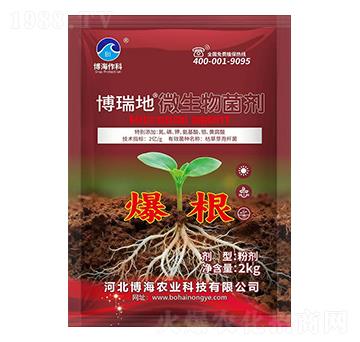 ΢�������(����)-�����-��������