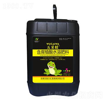 ����ֲ��ˮ�ܷ���-�����-�A���еV