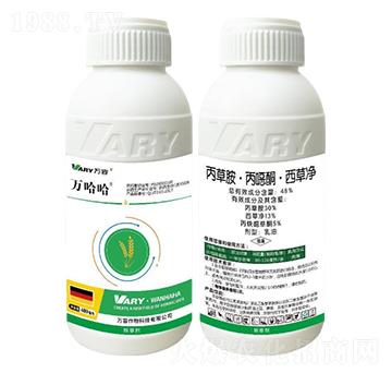 48%���ݰ������fͪ�����݃�-�f����-�f��