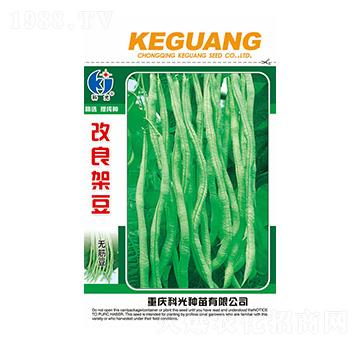 �����ܶ�-�ƹ�N��