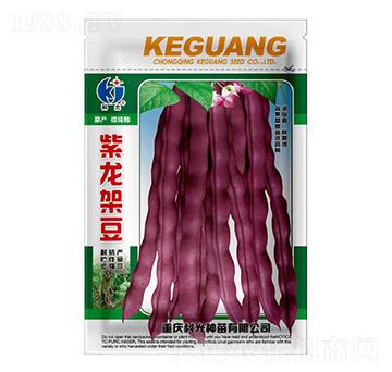 �����ܶ�-�ƹ�N��