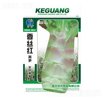 ��z�t�n�S-�ƹ�N��