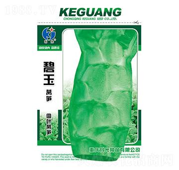 ����A�~�n�S-�ƹ�N��