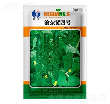 ���s�S4̖(h��o)-�ƹ�N��