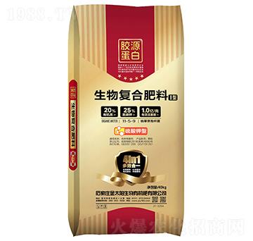 ����ͺϷ���11-5-9-��̫�