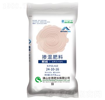 ȩ�񓽻����24-10