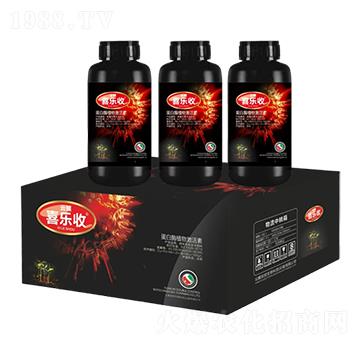 ����øֲ�Ｄ����-�t̫�(y��ng)