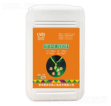 ���x�B(t��i)���\�}�V-�İ�����