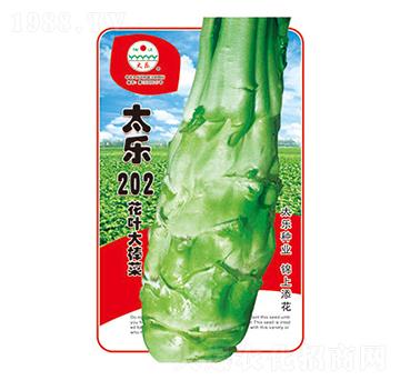 ���˷N��-̫��(l��)202-̫��(l��)�N�I(y��)