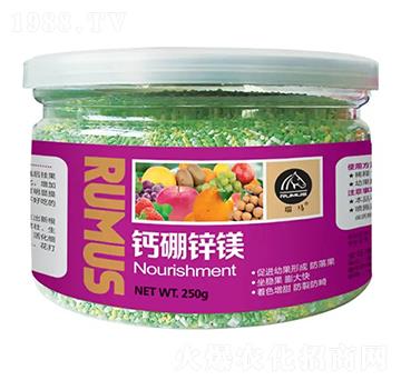 �}���\�V-�̶�����