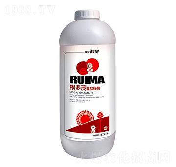 ���ĺ������ͷ���-����ï-�̶�����