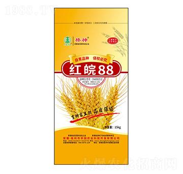 �t��88С���N��-�S���r(n��ng)�I(y��)