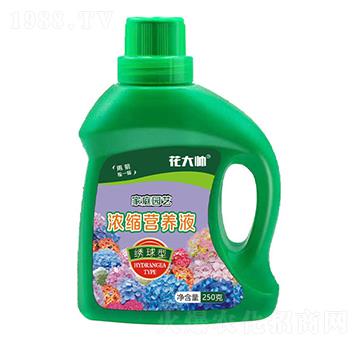 �C���ͼ�ͥ�@ˇ��s�I�B(y��ng)Һ-����-�G�ַʘI(y��)