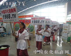 �Є�(d��ng)����1988.TV�F(tu��n)�(du��)�M��]����Ҋ��ɫ