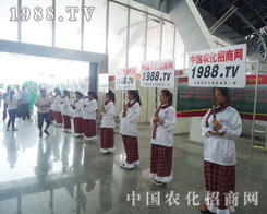 �r(n��ng)�����̾W(w��ng)��ݻֺ������@�ø����L(f��ng)��