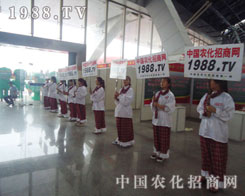 ����ƴ����1988.TV���������