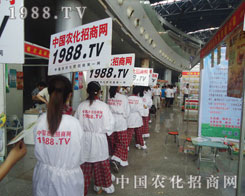 �r(n��ng)�����̾W(w��ng)����ϣ�����ɫ������ǻ����Ĵ���