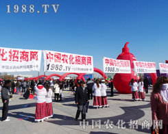 �r(n��ng)���W(w��ng)�ü����cȼ2013��|����ʡ�����p����