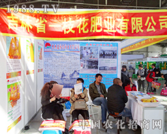 һ֦���ʘI(y��)��2013�|�����ϕ�(hu��)��չ���a(ch��n)Ʒ