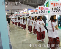 չ�����ʲ��࣬���c��(y��ng)�Ӳ�Ͼ